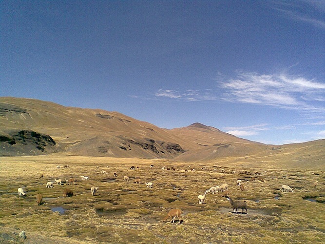 Laguna de Pampalarama