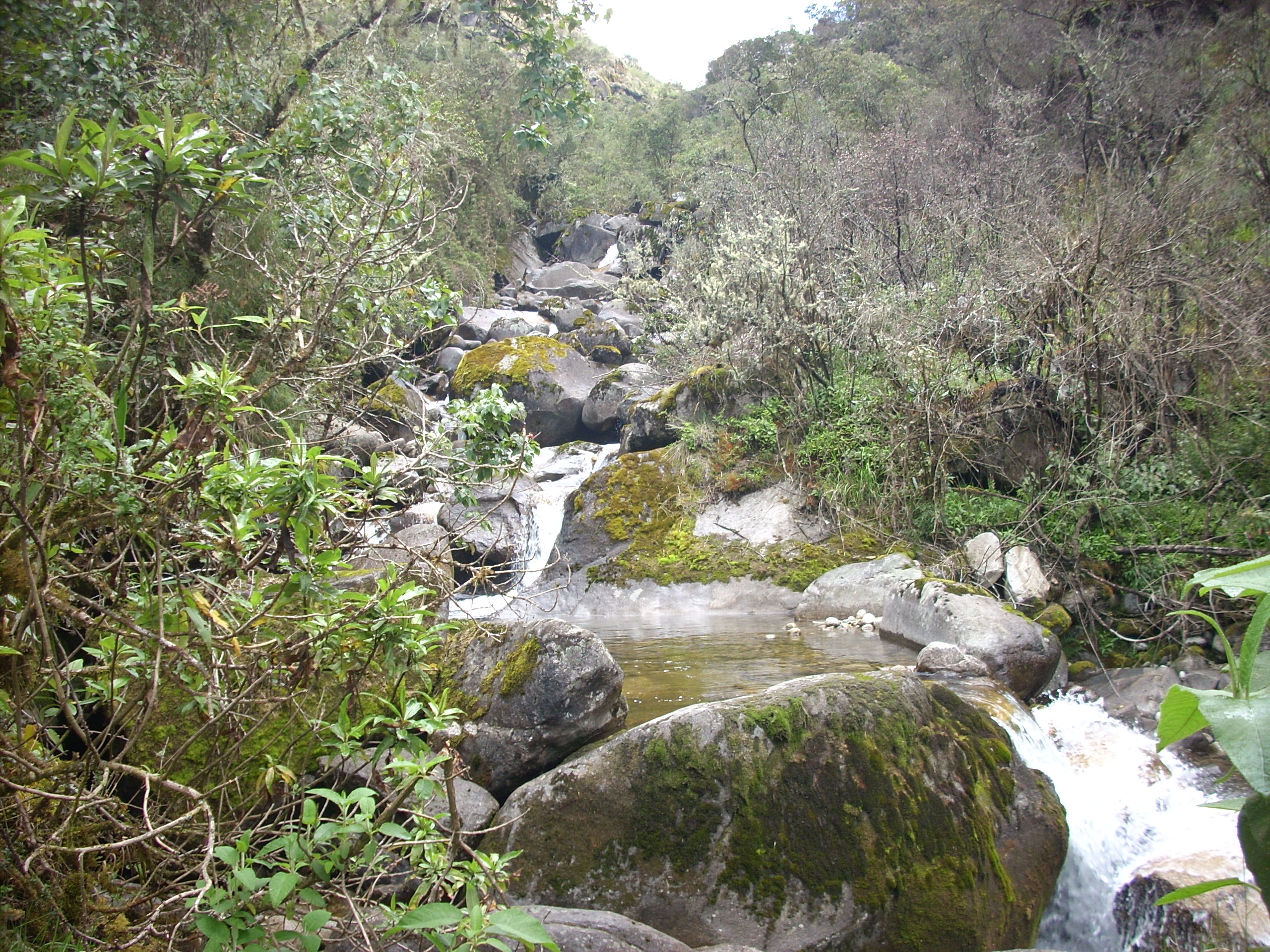 Ríos en el Camino