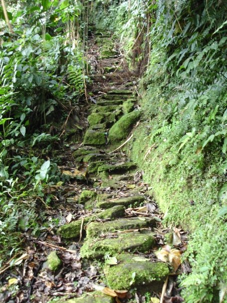 Subida a Ciudad Perdida