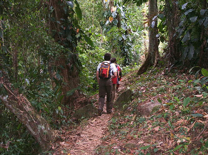 Caminar, caminar