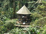 Albergue en Ciudad Perdida