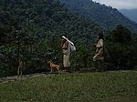 Kogi en Ciudad Perdida