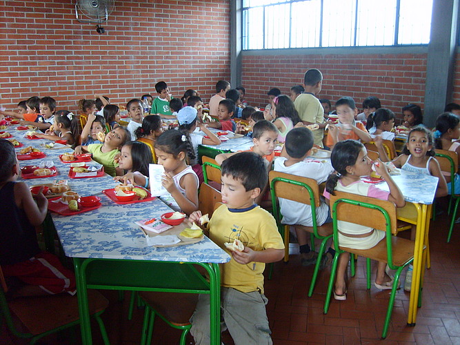 Apoyo Nutricional