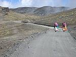El Camino del Choro