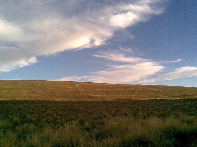 ¿Donde va el camión?