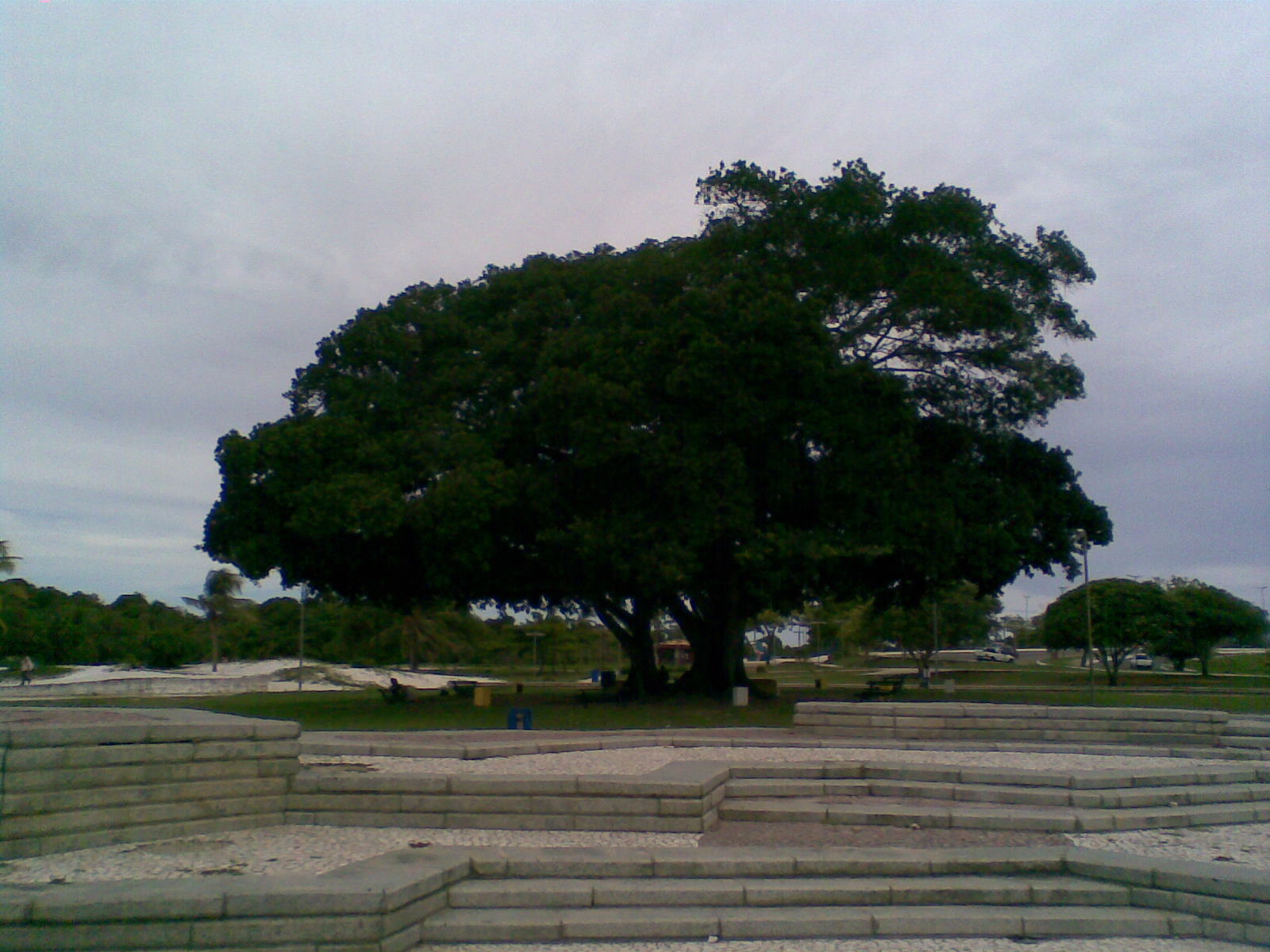 Parque Abaeté