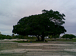Parque Abaeté