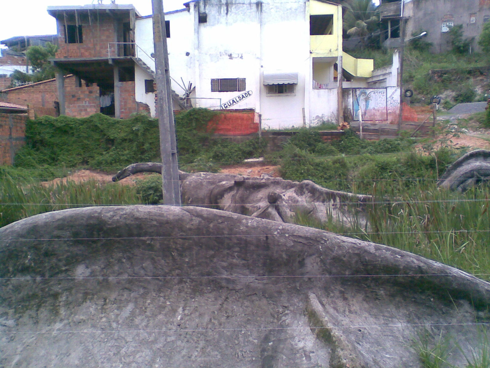 O Yacaré (Ricardo Magalhaes)