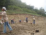 Preparación Terraza