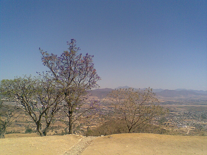 Oaxaca desde Monte Albán